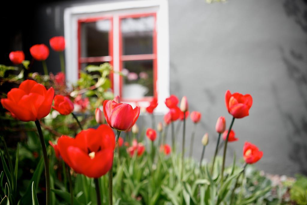 Vaxholms Bed & Breakfast Luaran gambar